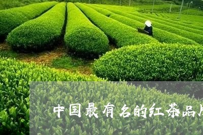 中国最有名的红茶品牌/2023071417250