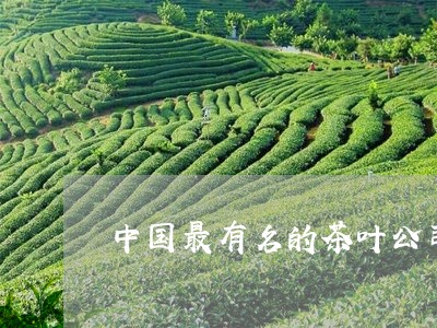 中国最有名的茶叶公司/2023061014837