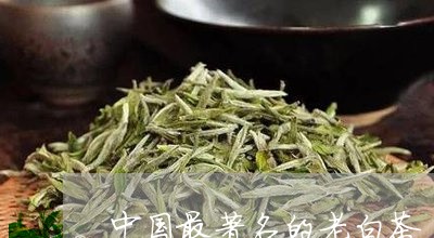 中国最著名的老白茶/2023121660596