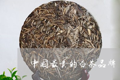 中国最贵的白茶品牌/2023121639482