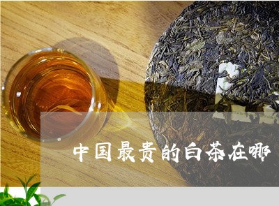 中国最贵的白茶在哪/2023121696057