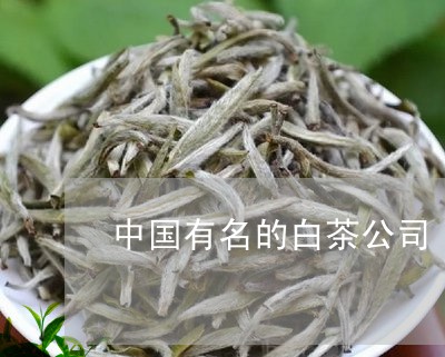 中国有名的白茶公司/2023121623637