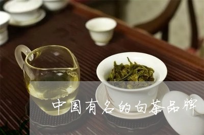 中国有名的白茶品牌/2023121665949