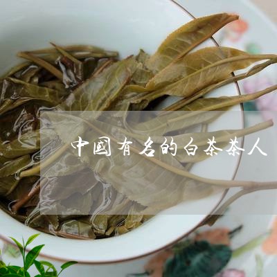 中国有名的白茶茶人/2023121604151