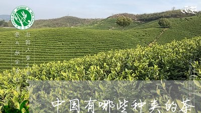 中国有哪些种类的茶/2023042322816