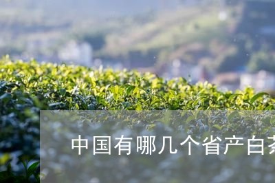 中国有哪几个省产白茶/2023092760805