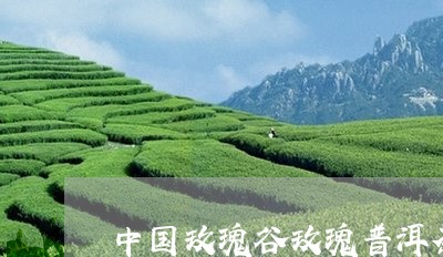 中国玫瑰谷玫瑰普洱茶/2023100836259