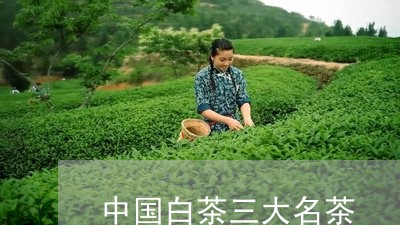 中国白茶三大名茶/2023061463137