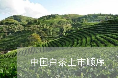 中国白茶上市顺序/2023061414150