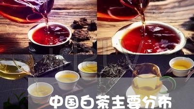 中国白茶主要分布/2023061400794