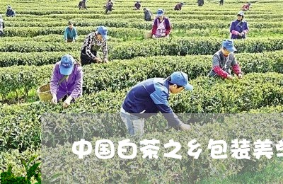 中国白茶之乡包装美学/2023092791918