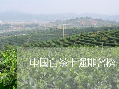 中国白茶十强排名榜/2023121689825