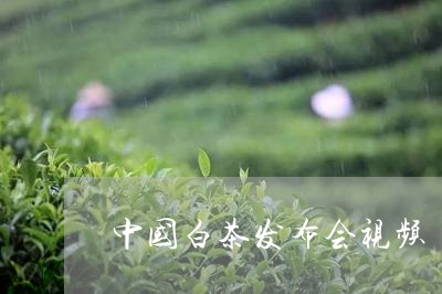 中国白茶发布会视频/2023121629483