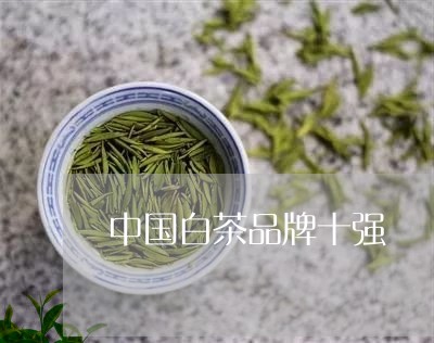 中国白茶品牌十强/2023061463839