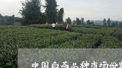 中国白茶品种市场份额/2023092749692