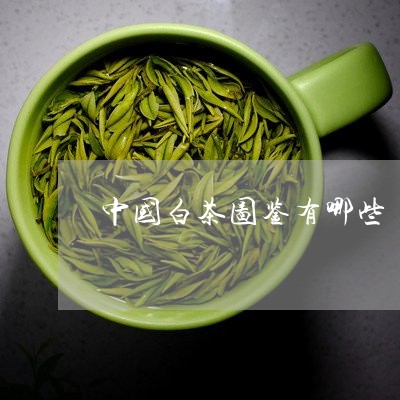 中国白茶图鉴有哪些/2023121681503