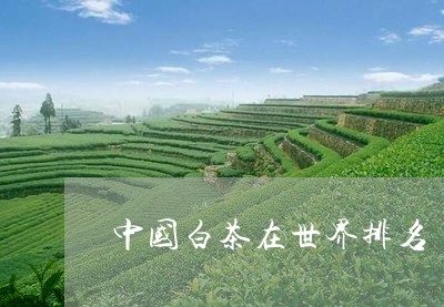 中国白茶在世界排名/2023121646370
