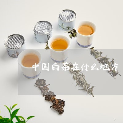 中国白茶在什么地方/2023121678482