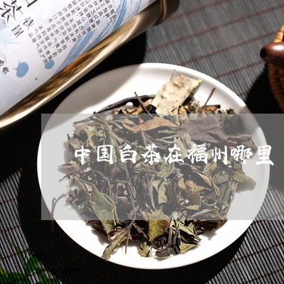 中国白茶在福州哪里/2023121652838