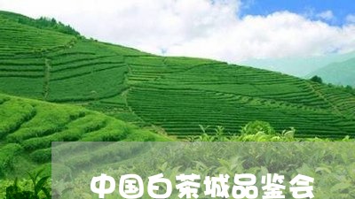 中国白茶城品鉴会/2023061419405