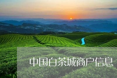 中国白茶城商户信息/2023071459794