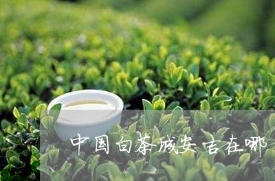 中国白茶城安吉在哪/2023081298624