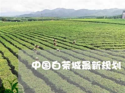 中国白茶城最新规划/2023071421583