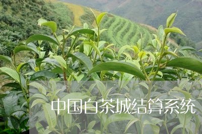 中国白茶城结算系统/2023121641502