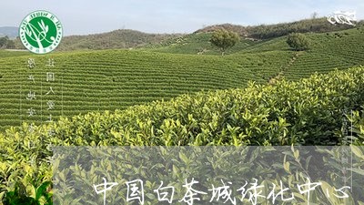 中国白茶城绿化中心/2023071470472