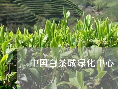 中国白茶城绿化中心/2023121671706
