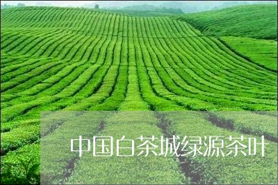 中国白茶城绿源茶叶/2023071425263