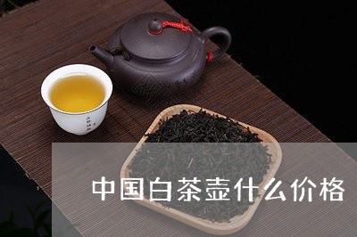 中国白茶壶什么价格/2023121660602