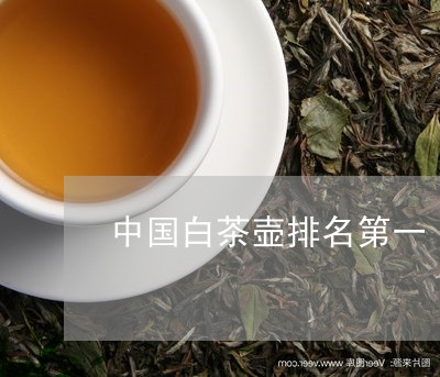 中国白茶壶排名第一/2023121627160