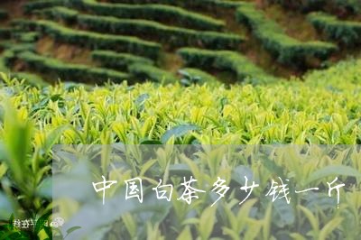 中国白茶多少钱一斤/2023121661595