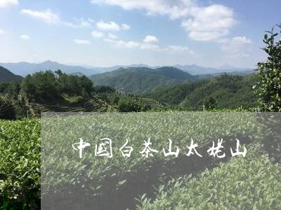 中国白茶山太姥山/2023061437480