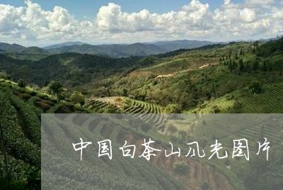 中国白茶山风光图片/2023081269604