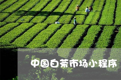 中国白茶市场小程序/2023071483824