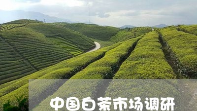 中国白茶市场调研/2023061472705