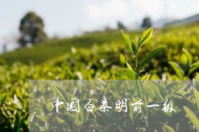 中国白茶明前一级/2023061406170