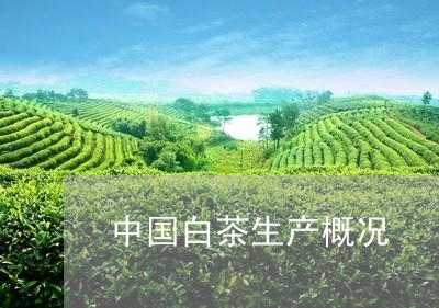 中国白茶生产概况/2023061445351