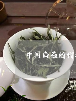 中国白茶的代表名茶/2023071428172