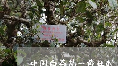 中国白茶第一黄杜村/2023121669473