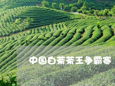 中国白茶茶王争霸赛/2023121682615