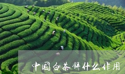 中国白茶饼什么作用/2023121684147