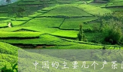 中国的主要几个产茶区/2023071532606