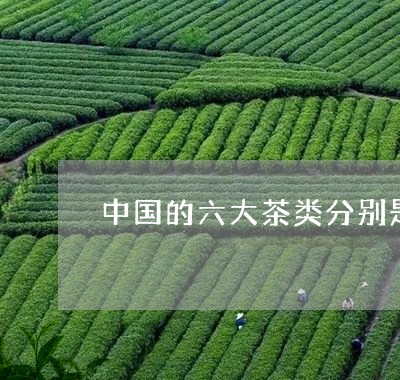 中国的六大茶类分别是/2023071531137