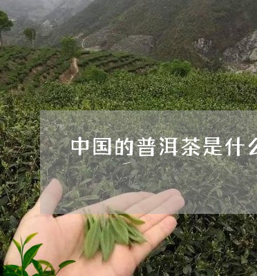 中国的普洱茶是什么茶/2023080393259