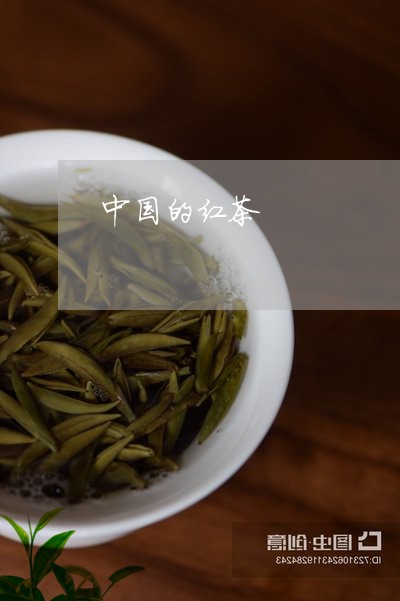 中国的红茶/2023121919382