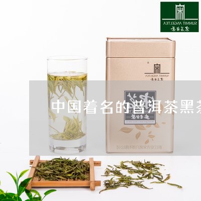 中国着名的普洱茶黑茶/2023120610492