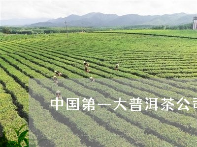 中国第一大普洱茶公司/2023062850402